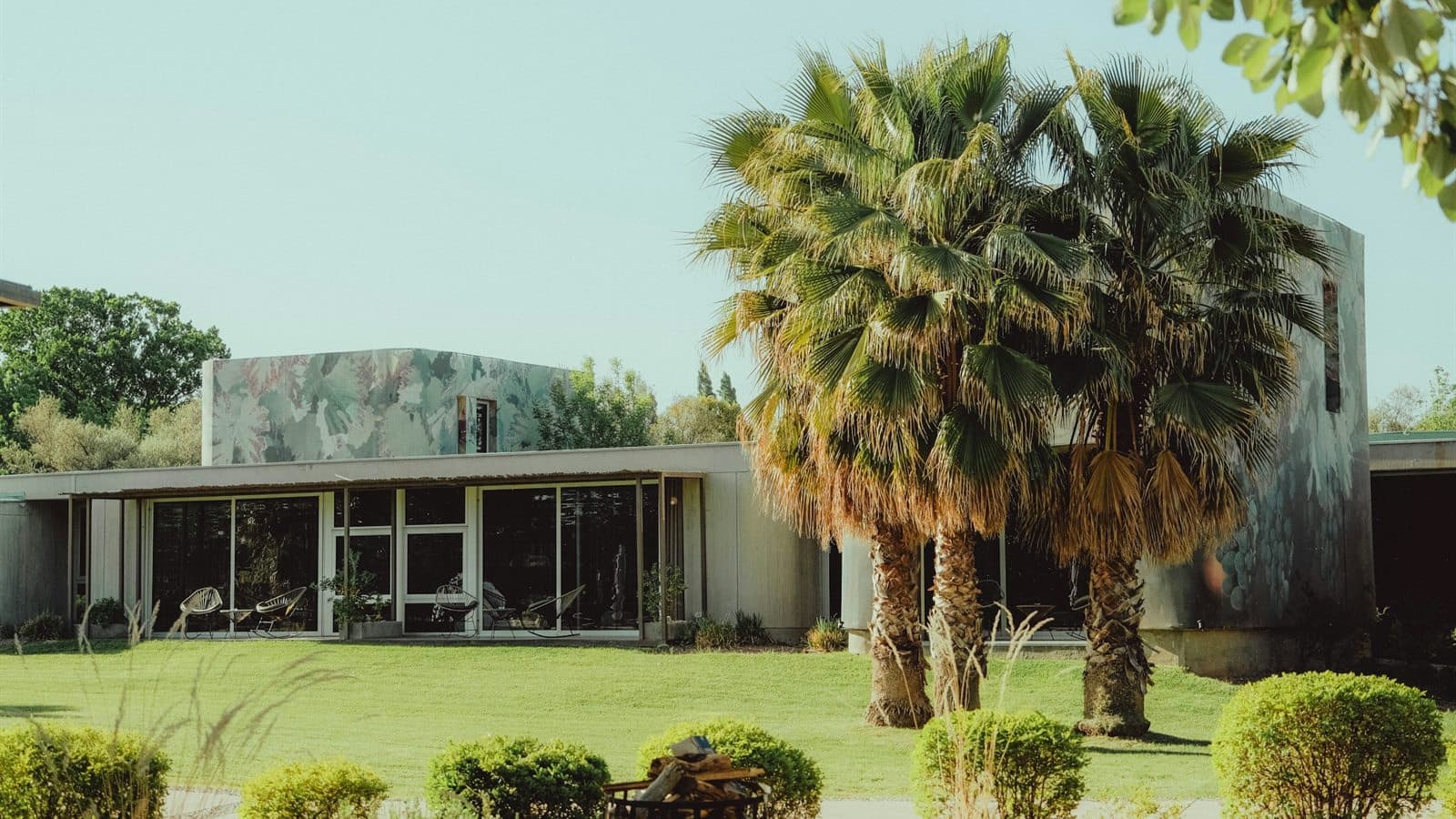 parquización residencial con césped natural, arquitectura contemporánea y paisajismo en Mendoza