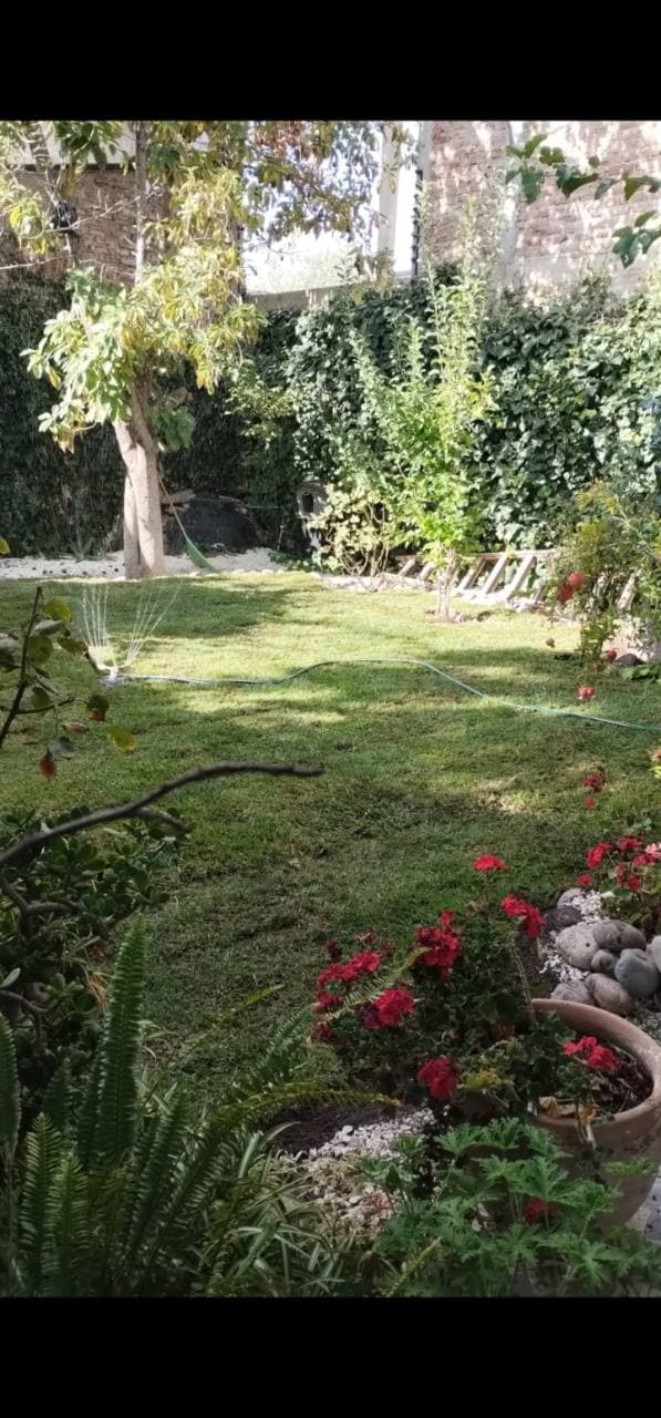 jardín residencial con riego funcionando sobre césped y canteros